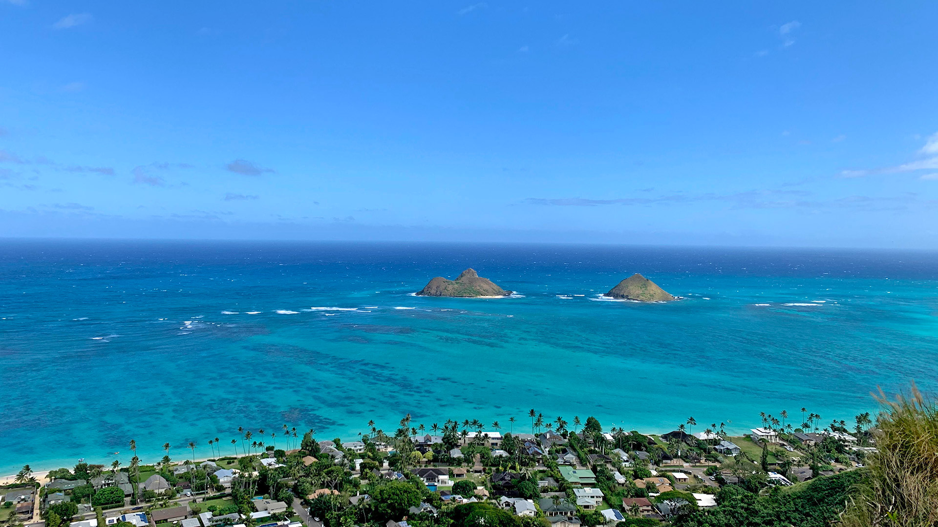 Lani Kai Hula Studio 港北ニュータウン校｜Kaila O Lani Kai